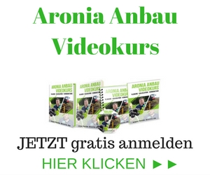 Aronia Anbau Videokurs