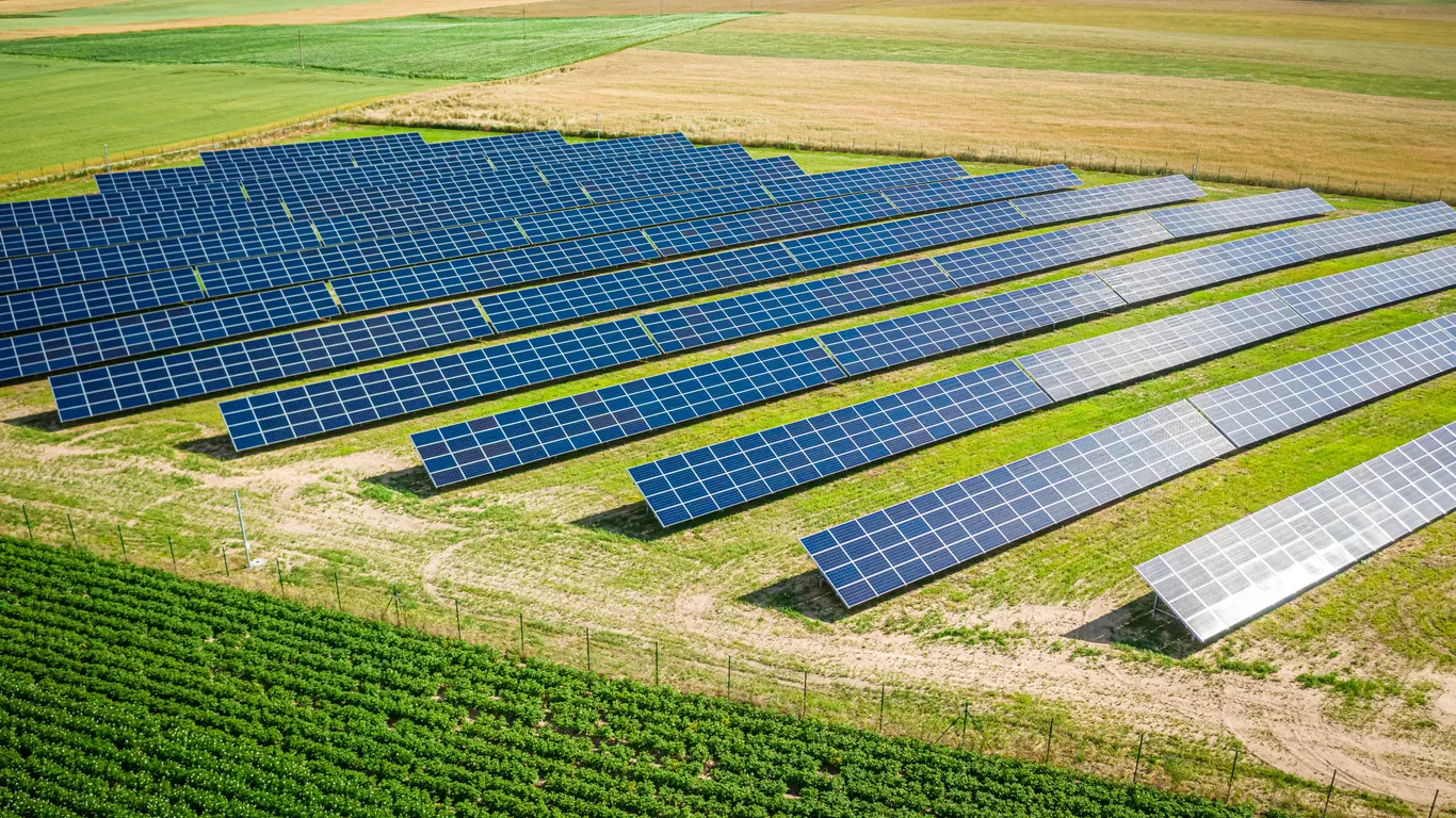 Agri PV Aronia