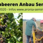 Aronia Anbau Seminar 2020