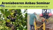 Aronia Anbau Seminar 2020
