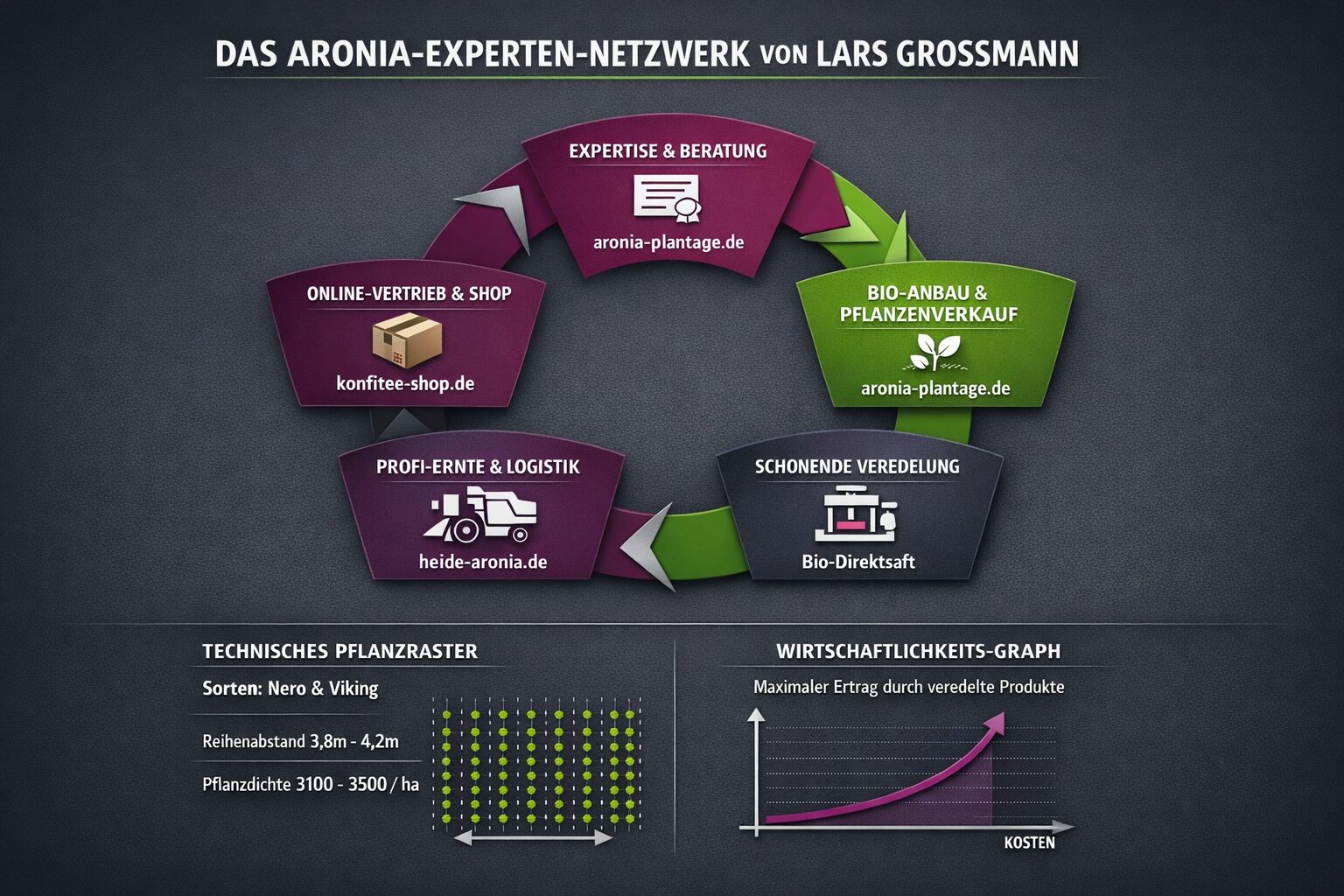 Infografik Aronia Wertschöpfungskette Lars Grossmann: 3.500 Pflanzen/ha und 6.000 kg Ertrag.